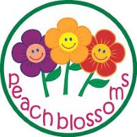 Peachblossoms National Plus School